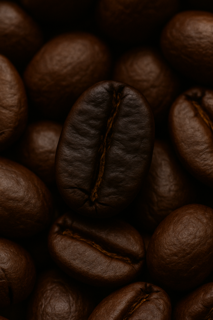 Sehr dunkel geröstete Kaffeebohne mit öligem Glanz und Rissen – klassisches Zeichen für Overdevelopment durch zu lange Entwicklungszeit. Kaffeeröster